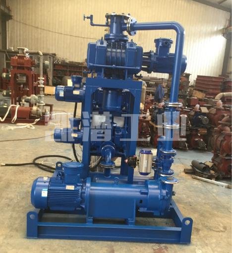 化工真空機(jī)組.jpg 化工真空機(jī)組.jpg